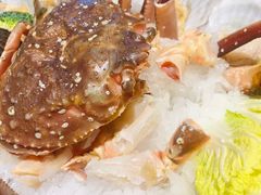 -日进一片海.生腌海鲜火锅.宵夜烧烤(三里屯总店)