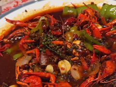 -杨氏青龙虾·羊蝎子(托乐嘉店)