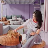 江浙沪周边游🐯宁波雅戈尔动物园互动全攻略