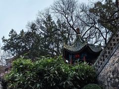 -华清宫景区