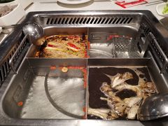 -海底捞火锅(高科广场店)