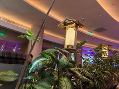 -桂满陇·蟹黄小笼汤包(清河万象店)