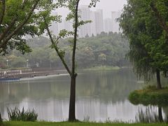-尚贤河湿地