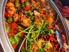 -探炉·香辣豆花烤鱼(笋岗宝能环球汇店)