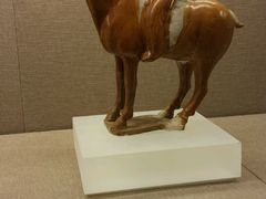 -北京大学赛克勒考古与艺术博物馆