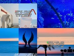 -巧克力渔家.小船海鲜胶东菜(万平口店)