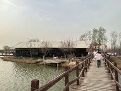 -西青郊野公园