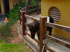 -珠海海泉湾神秘岛亲子乐园