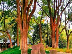 -丝绸小镇荻港古村