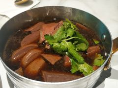 -MR鹅外