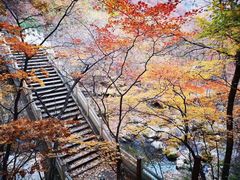 -丹东天桥沟景区