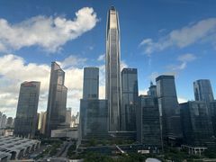 -深圳星河丽思卡尔顿酒店