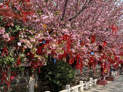 -祥源·阜阳生态乐园