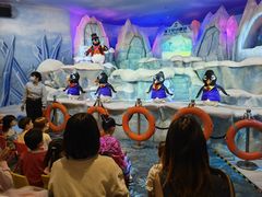 -帝企鹅自助餐厅•儿童岛•真企鹅(长隆企鹅酒店)