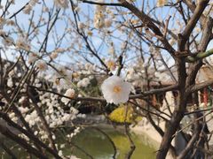 -碑林公园
