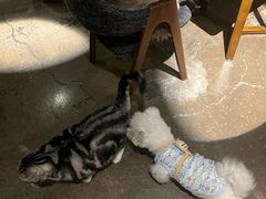 -咖法森林·咖啡  酒吧(天河店)