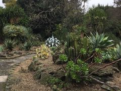 -墨尔本皇家植物园