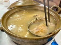 雞煲翅-新陶陶酒家