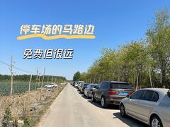 -上林马术中央公园·户外露营·团建·骑乘