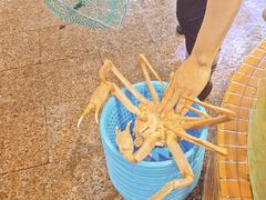 -荔城生鲜盛宴(番禺旗舰店)