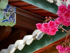 -黑龙潭公园