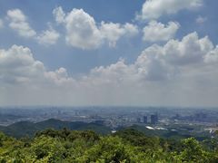 -云溪植物园