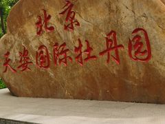 -太阳宫公园