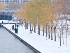 -北龙湖湿地公园