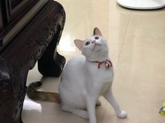 -可颂坊(中心书城店)