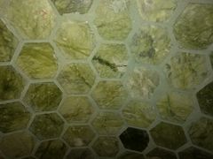 -五大龙池温泉宝石浴(繁荣店)