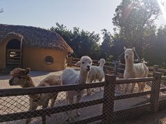 -珠海海泉湾神秘岛亲子乐园