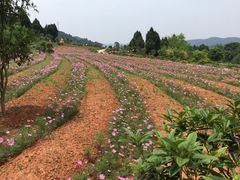 景点-中国香山·寿香谷