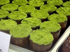 -发酵食堂(屏风街店)