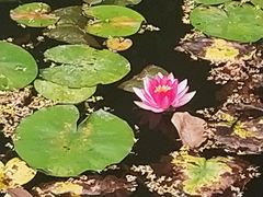 -绍兴鉴湖君澜大酒店