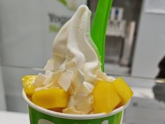 -Salud撒露欧洲冻酸奶(蓝色港湾店)