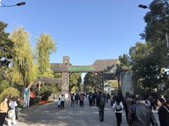 -溱湖国家湿地公园