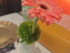 -桂满陇·手作小笼包&江南叫花鸡(中山公园店)