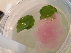 -云溪植物园