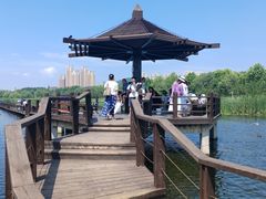 -前关湿地公园