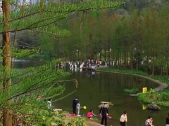 -重庆彩云湖湿地公园