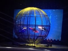 -兴芮温泉度假区