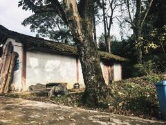 -山王坪喀斯特国家生态公园