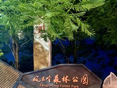 -风云岭森林公园