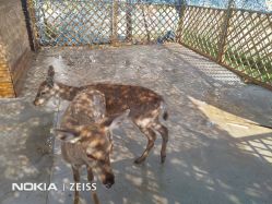 -萌宠亲子动物乐园(槐房万达店)