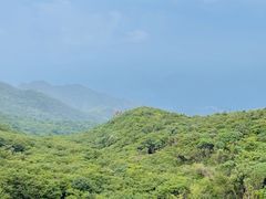 -大围山国家森林公园
