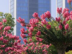 -杭州城北体育公园