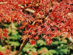 -共青国家森林公园-售票处