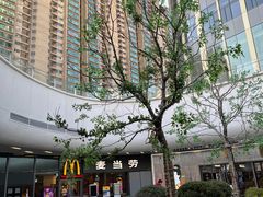 -Seesaw Coffee(上海太阳宫K46店)