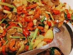 -鸽子侯·家宴·平价海鲜(市图书馆店)