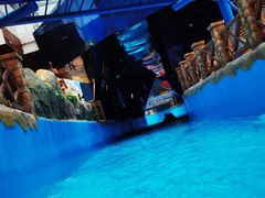 -青岛东方影都融创水世界